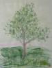 Baum.jpg (19 Kb)