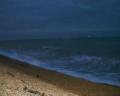 Strand (42 Kb)