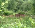 Kohlenmeiler im lost valley (104 Kb)